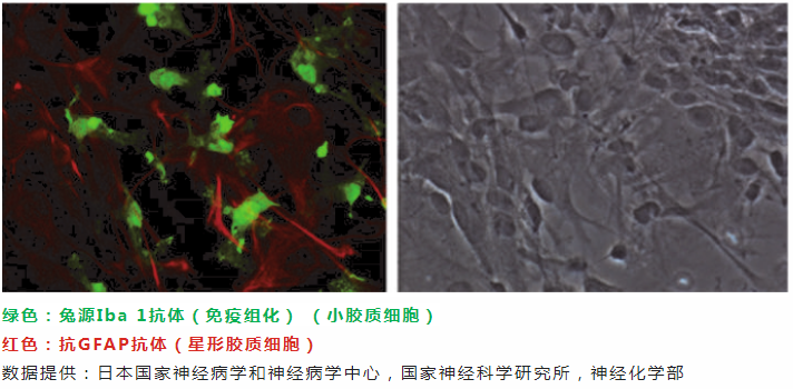 6013be5ed4ac7.png image.png