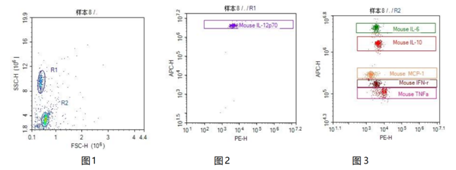 62e39ac1db0eb.png 3.png