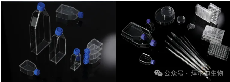 66cc14542acd1.png image.png