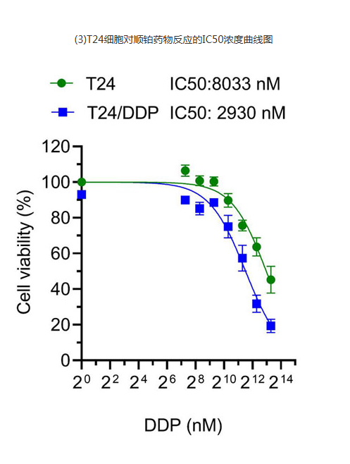 68ea1169bd6b0.png image.png